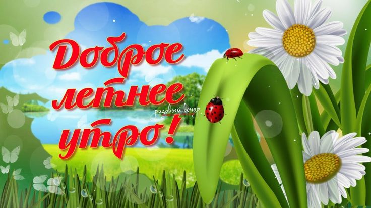 Профориентационный видеоролик.